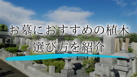 墓 植物|お墓に植える木は何がいい？植木の選び方とお手入れ。